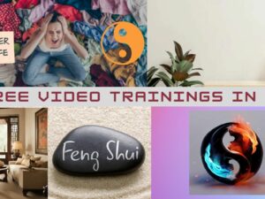 three video trainings in one