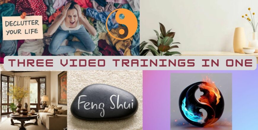 three video trainings in one